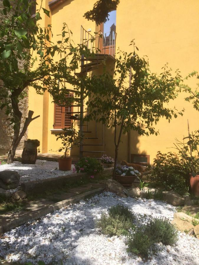 Mansarda Degli Ulivi Διαμέρισμα Rigomagno Εξωτερικό φωτογραφία